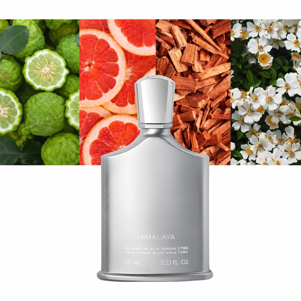 Aventus Fragrance For Men 100m - Fragrance Cologne And Perfume 评论和价格
