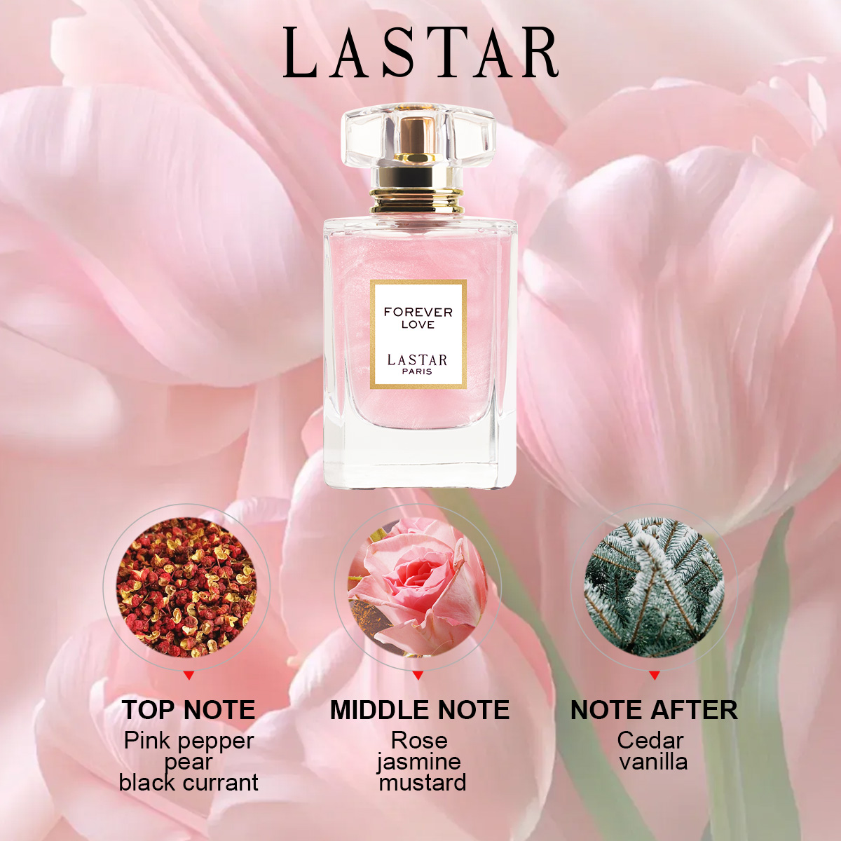 New Year/Christmas Gifts, LAST - Perfume Queen 评论和价格